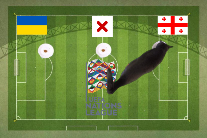 Lựa chọn của chú mèo tiên tri trước trận Ukraine vs Georgia