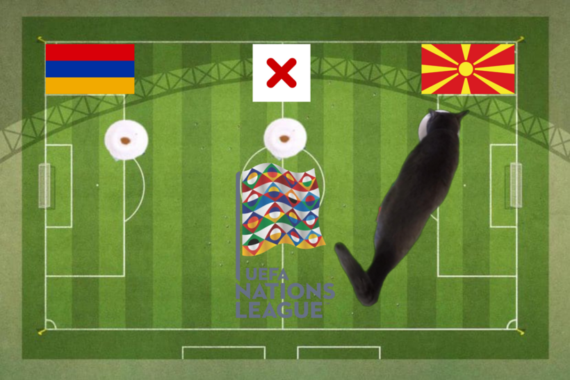 Lựa chọn của chú mèo tiên tri trước trận Armenia vs Bắc Macedonia