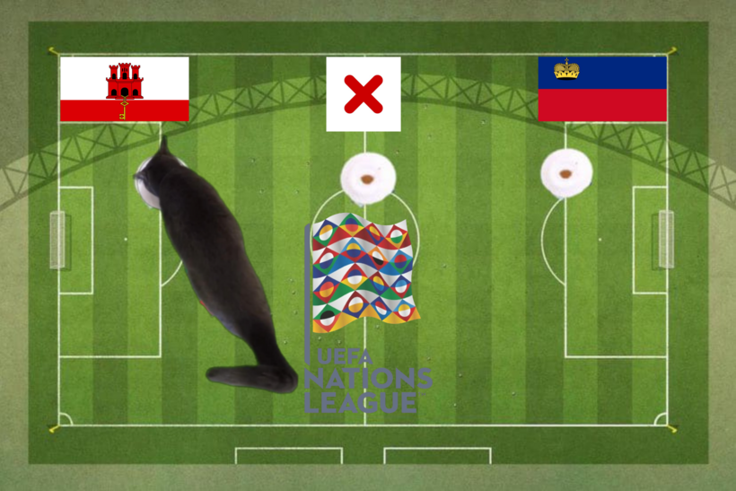 Lựa chọn của chú mèo tiên tri trước trận Liechtenstein vs Gibraltar