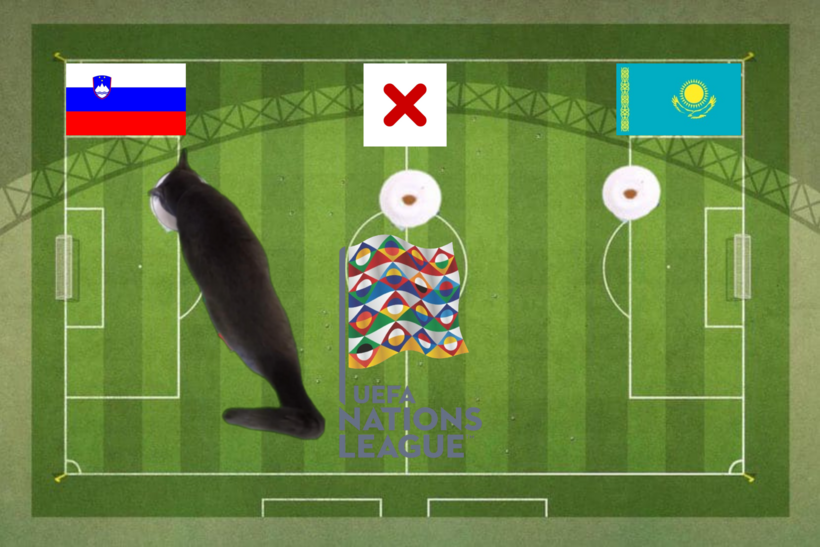 Dự đoán của chú mèo tiên tri trước trận Kazakhstan vs Slovenia