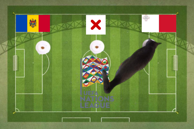 Lựa chọn của chú mèo tiên tri trước trận Malta vs Moldova