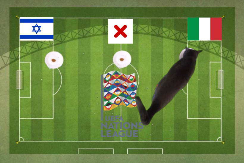 Dự đoán của chú mèo tiên tri trước trận Italia vs Israel