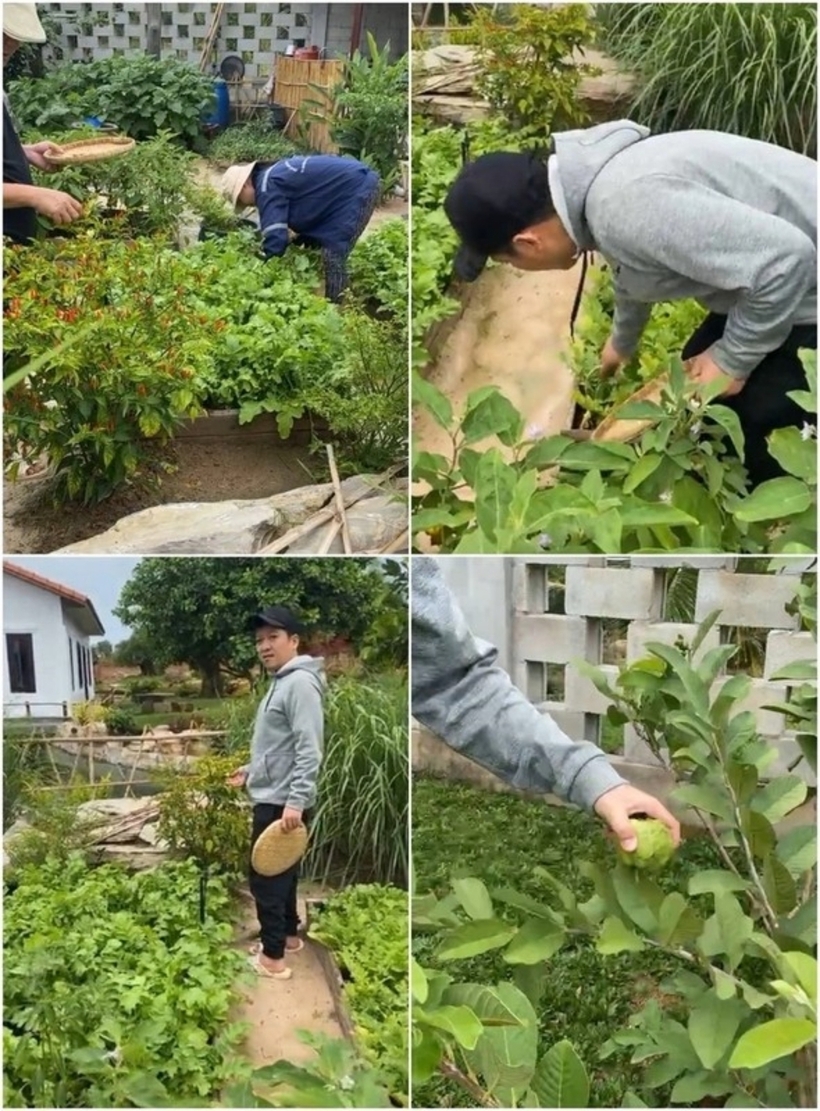 Trong khuôn viên khu biệt thự, Trường Giang cất công trồng nhiều loại rau, cây ăn quả như chanh dây, dừa, rau muống… để gia đình có nguồn thực phẩm sạch.