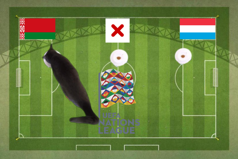 Lựa chọn của chú mèo tiên tri trước trận Belarus vs Luxembourg