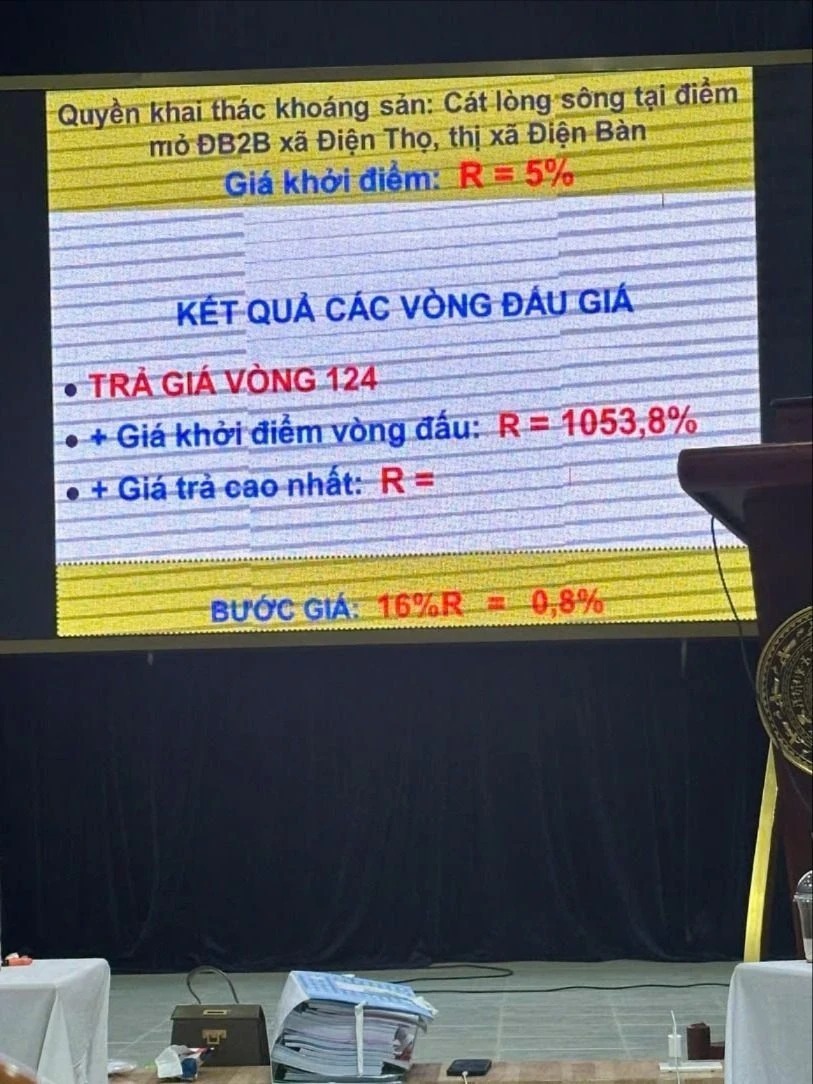 Cuộc đấu giá kéo dài 20 tiếng đồng hồ, từ 1,2 tỷ ban đầu, doanh nghiệp trúng đấu giá 370 tỷ. Ảnh: Pháp luật TP.HCM