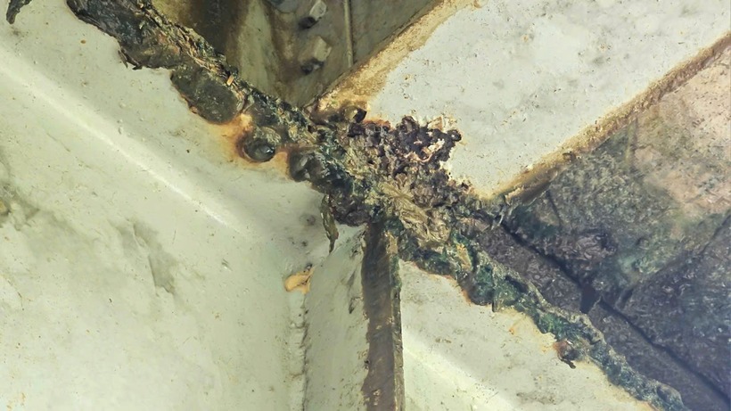 Nhiều bộ phận trên cầu bị hoen gỉ.