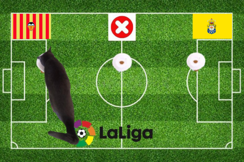 Lựa chọn của chú mèo tiên tri trước trận Valencia vs Las Palmas