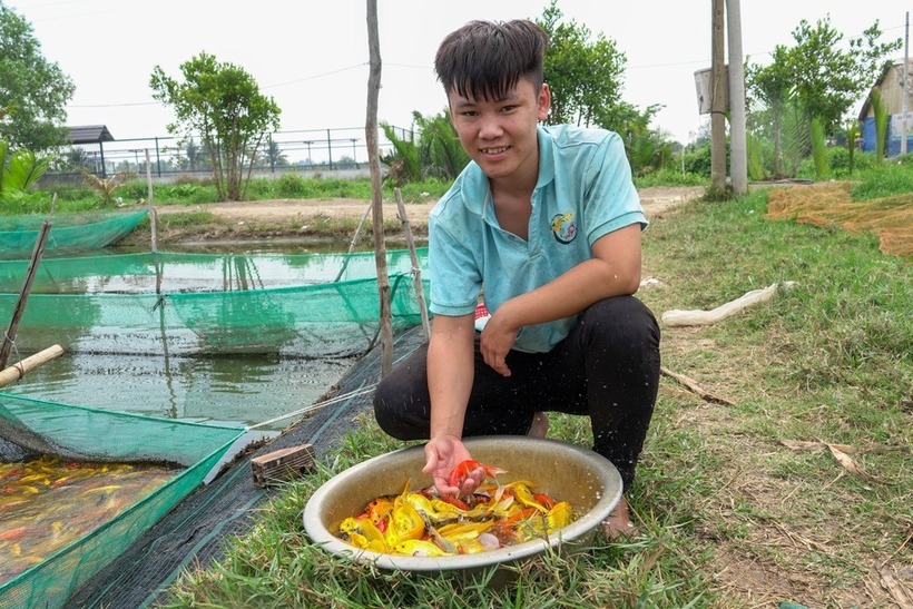 Ông chủ trại cá Koi thu tiền tỷ mỗi năm khi mới chỉ ngoài 20 tuổi. Ảnh: Dân trí