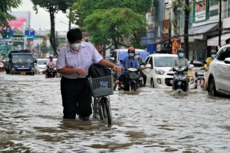 Bộ GD&ĐT đề nghị các địa phương cân nhắc cho học sinh nghỉ học tránh bão số 6 Trà Mi Ảnh: Pháp luật Việt Nam