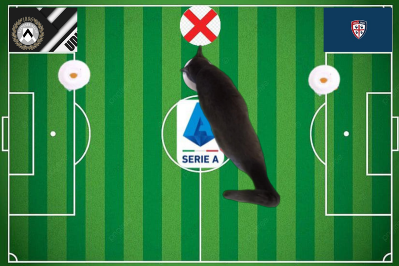 Lựa chọn của chú mèo tiên tri trước trận&nbsp;Udinese vs Cagliari