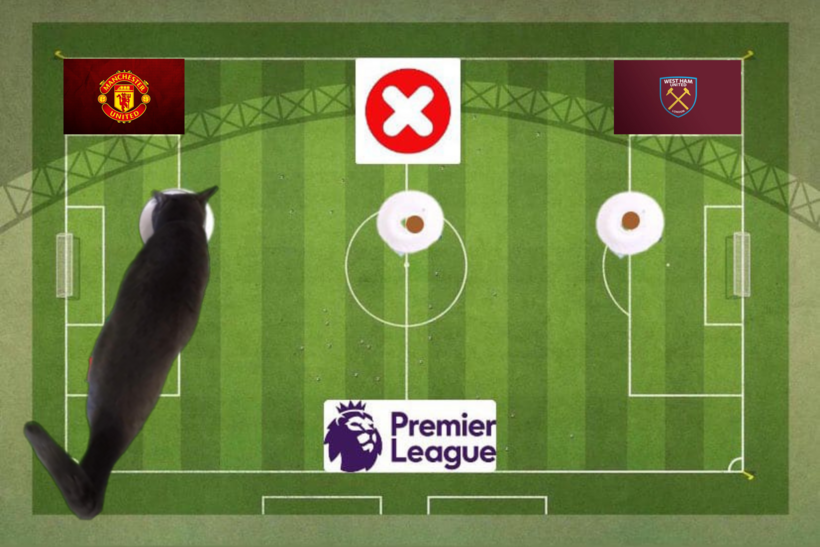 Dự đoán của chú mèo tiên tri trước trận West Ham vs MU