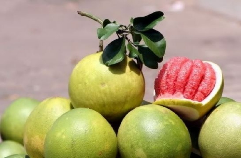 Không nên ăn bưởi sau khi uống bia rượu. Ảnh minh họa