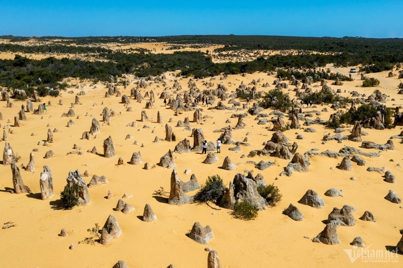 Công viên quốc gia Nambung, Australia có một bãi cát với hàng nghìn cột đá vôi phong hóa nhô lên được gọi là sa mạc Pinnacles, thu hút nhiều du khách tới vui chơi mỗi ngày.