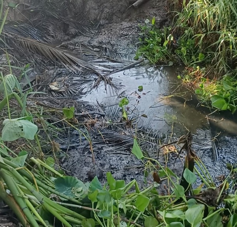 Nơi giấu thi thể người chồng. Ảnh: Công an Nhân dân