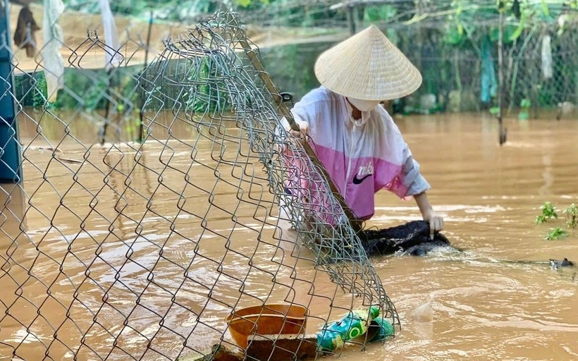 Trên đường chuyên dùng vào cụm mỏ đá Tân Cang (đoạn qua trạm thu phí) cũng xảy ra tình trạng ngập kéo dài. Ngập nước đã ảnh hưởng đến việc di chuyển của các phương tiện ra vào mỏ đá, hình thành dòng xe xếp hàng dài chờ nước rút.