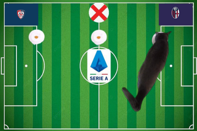 Lựa chọn của chú mèo tiên tri trước trận Cagliari vs Bologna