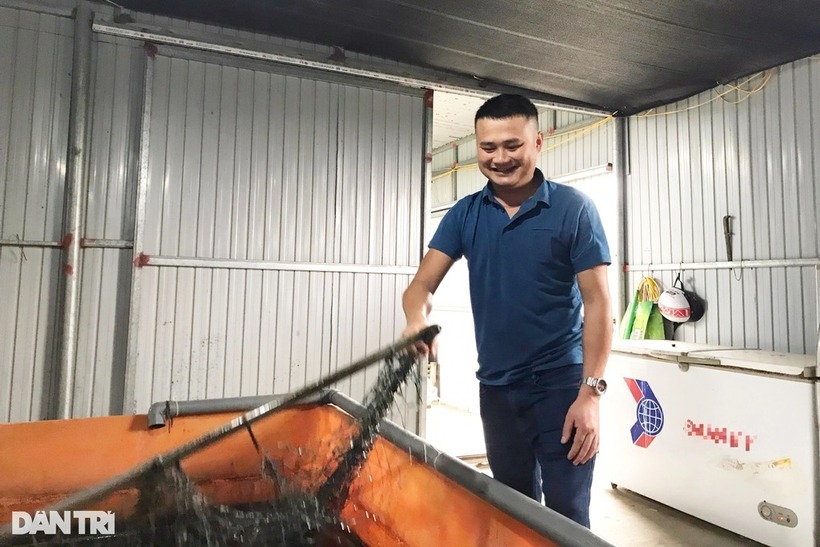 Anh nông dân Phạm Ngọc Dung làm giàu "kỳ lạ" từ mô hình nuôi lươn không bùn. Ảnh: Dân trí