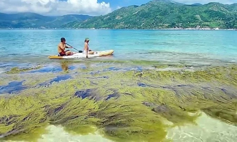 Với vẻ đẹp hoang sơ, quyến rũ cùng những trải nghiệm thú vị, "Chú khủng long" Hòn Nưa chắc chắn sẽ là một điểm đến lý tưởng cho những ai yêu thích du lịch khám phá.