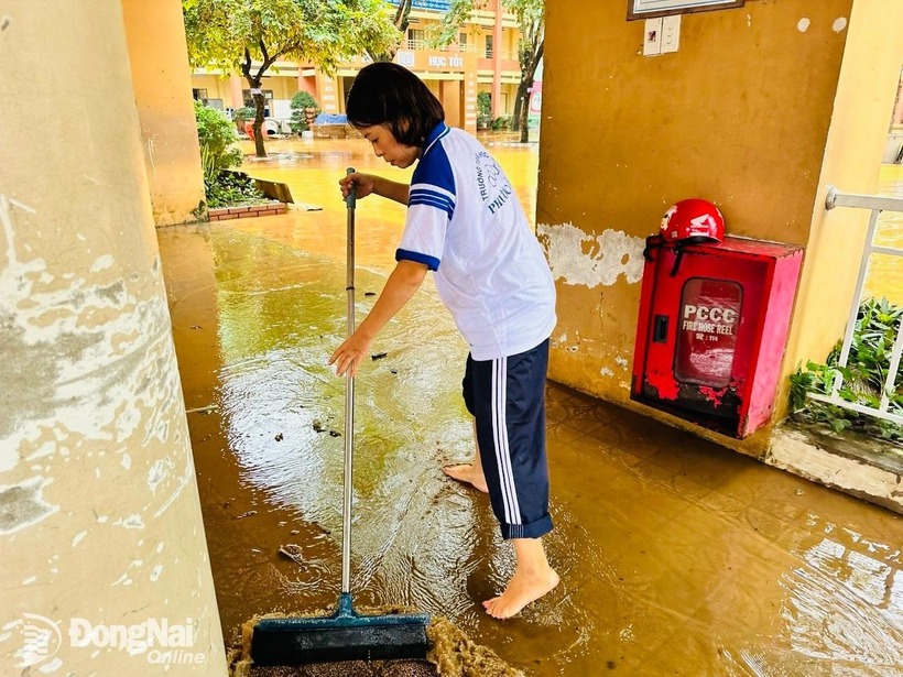 Trường Trung học cơ sở Phước Tân 1 huy động toàn bộ nhân lực thực hiện dọn dẹp vệ sinh trường lớp sau lũ. Ảnh: Báo Đồng Nai