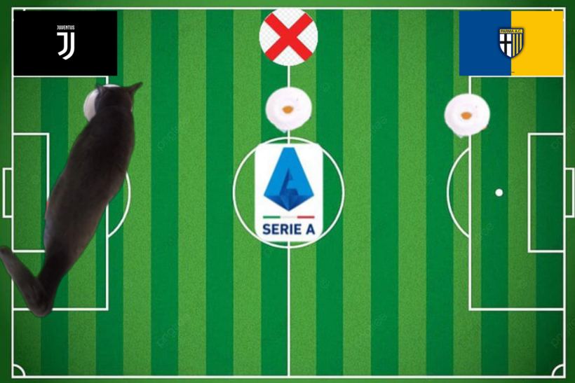Dự đoán của chú mèo tiên tri trước trận Juventus vs Parma