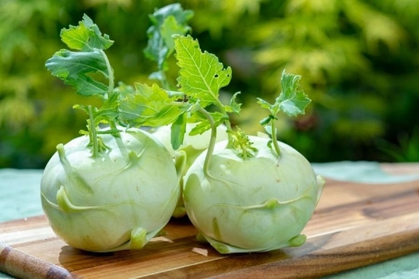 Mặc dù su hào mang lại nhiều lợi ích cho sức khỏe, nhưng nếu ăn sai cách có thể gây ra những tác dụng phụ không mong muốn.