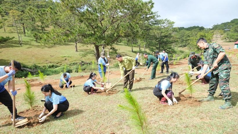 SASCO trồng cây xanh tặng "xứ sở ngàn thông" Đà Lạt - 3