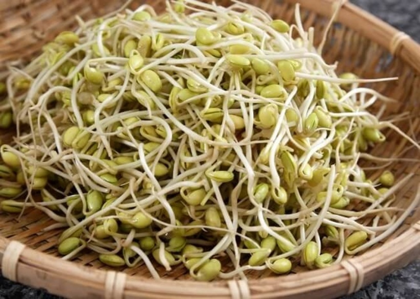 Giá đỗ có nhiều lợi ích cho sức khỏe nói chung và mang lại nhiều tác dụng đối với sinh lý nam giới. Ảnh minh họa