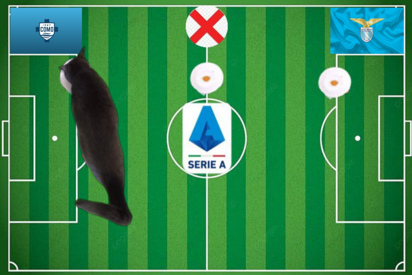 Dự đoán của chú mèo tiên tri trước trận Como vs Lazio