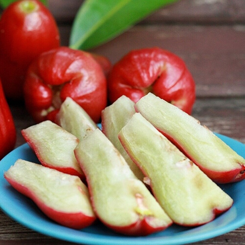 Các chuyên gia khuyến khích những người bị nhiễm trùng bàng quang nên bổ sung quả roi vào chế độ ăn uống.