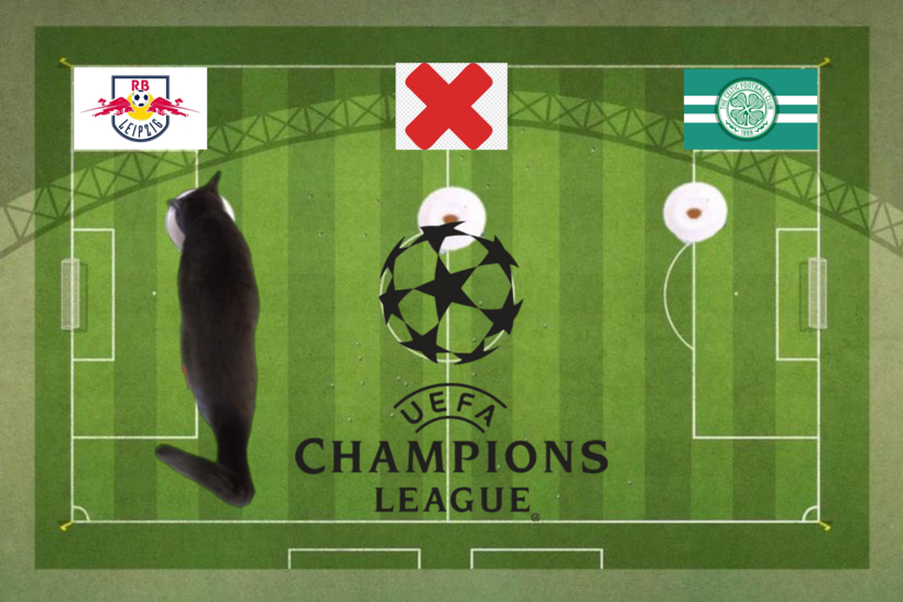 Dự đoán của chú mèo tiên tri trước trận Celtic vs RB Leipzig