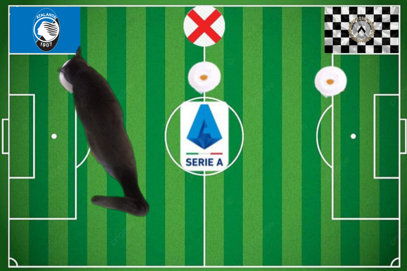 Dự đoán của chú mèo tiên tri trước trận Atalanta vs Udinese