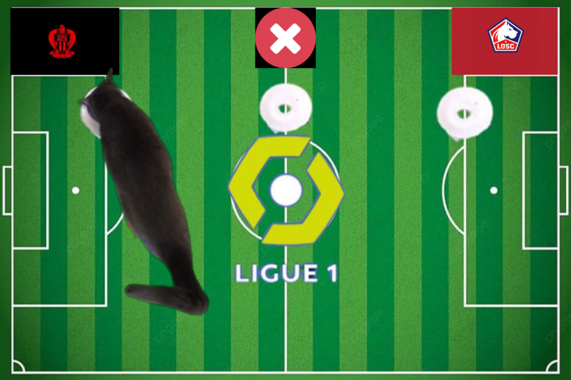 Lựa chọn của chú mèo tiên tri trước trận Nice vs Lille