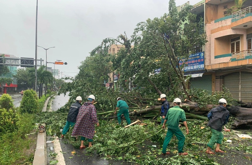 Lực lượng chức năng ở TP.Đà Nẵng thu dọn cây gãy đổ sau siêu bão Noru. (Ảnh: Báo Nhân dân)