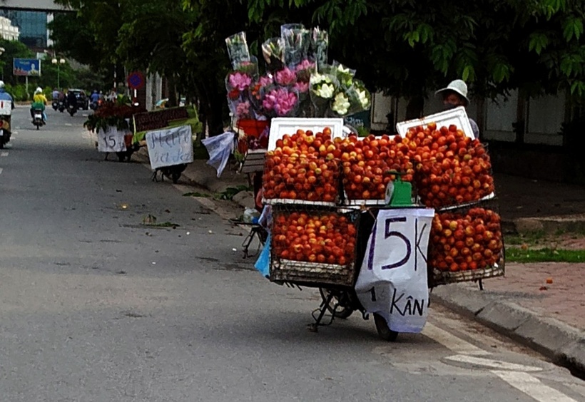 Tuy nhiên so với trái cây bán rong thì trái cây được mua ở siêu thị và cửa hàng sẽ có yếu tố an toàn thực phẩm hơn. Ảnh minh họa