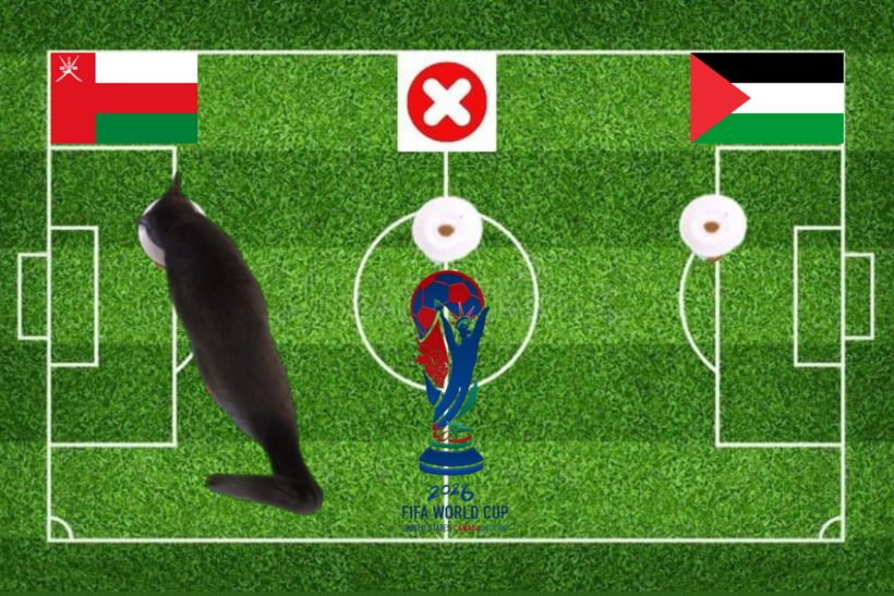 Mèo tiên tri dự đoán kết quả trận Oman vs Palestine