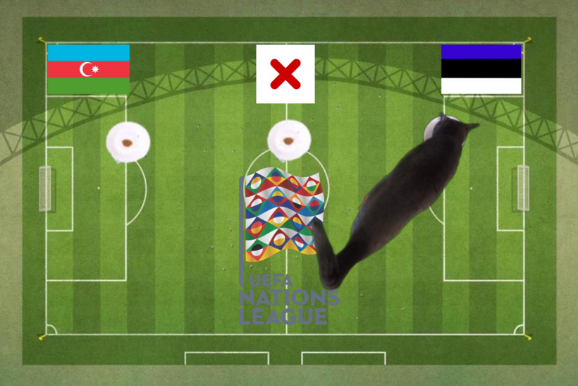 Dự đoán của chú mèo tiên tri trước trận Azerbaijan vs Estonia