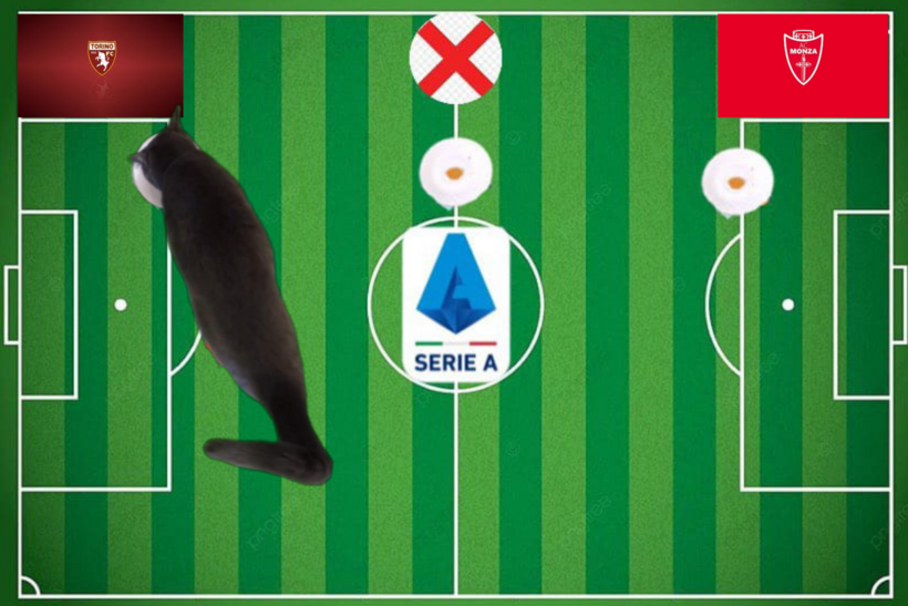 Dự đoán của chú mèo tiên tri trước trận Torino vs Monza