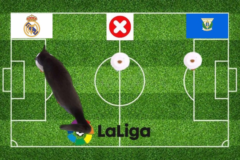 Dự đoán kết quả trận Leganes vs Real Madrid, La Liga 0h30 ngày 25/11: Mèo tiên tri chọn ngôi vương - 1