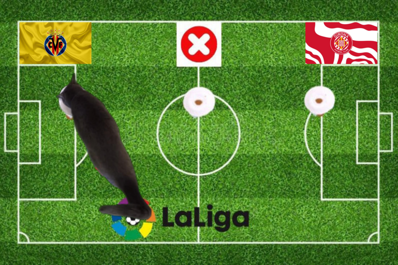 Dự đoán của chú mèo tiên tri trước trận Villarreal vs Girona