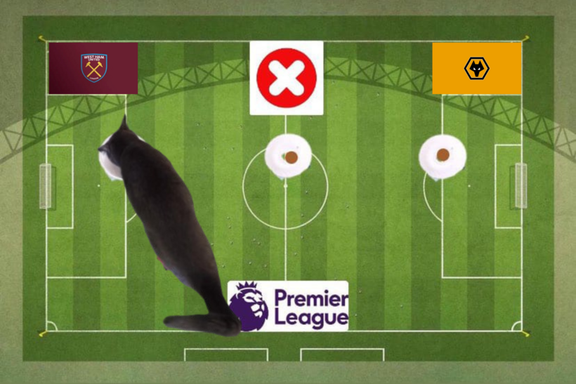 Mèo tiên tri dự đoán kết quả trận West Ham vs Wolves