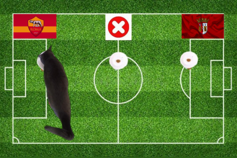 Mèo tiên tri dự đoán kết quả trận Roma vs Braga