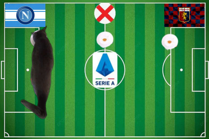 Mèo tiên tri dự đoán kết quả trận Genoa vs Napoli