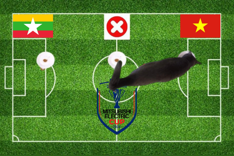 Mèo tiên tri dự đoán kết quả trận Việt Nam vs Myanmar