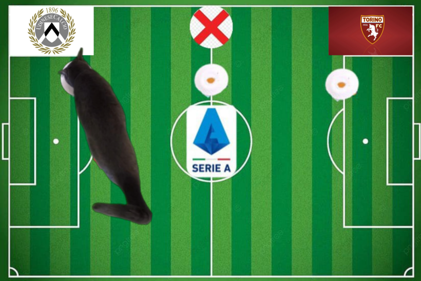 Dự đoán của chú mèo tiên tri trước trận Udinese vs Torino