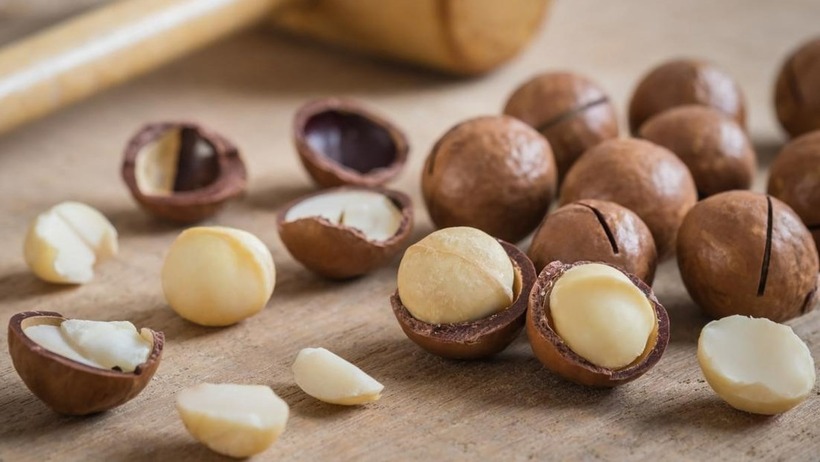 Hạt mắc ca được mệnh danh là "nữ hoàng của các loại hạt" bởi thành phần dinh dưỡng vô cùng phong phú.