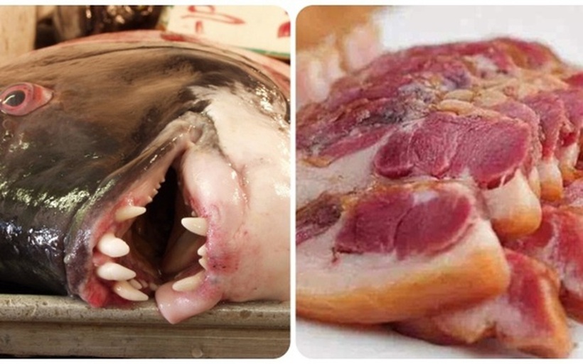 Đầu động vật cũng chứa nhiều chất độc hại, kim loại nặng và ký sinh trùng.