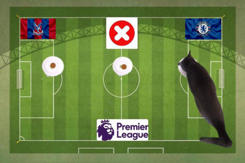 Mèo tiên tri dự đoán kết quả trận Crystal Palace vs Chelsea