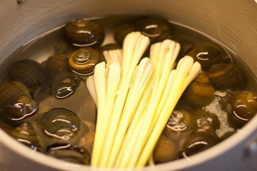 Nên chọn ốc còn tươi sống, vỏ ốc đóng chặt, không có mùi hôi.