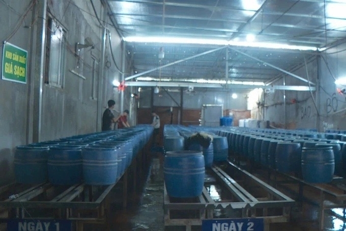 UBND thành phố Buôn Ma Thuột đã tạm dừng hoạt động của 6 cơ sở bị phát hiện sản xuất giá đỗ ngâm ủ chất cấm. Ảnh: Dân trí