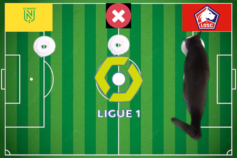 Mèo tiên tri dự đoán kết quả trận Lille vs Nantes